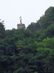 Dans la verdure